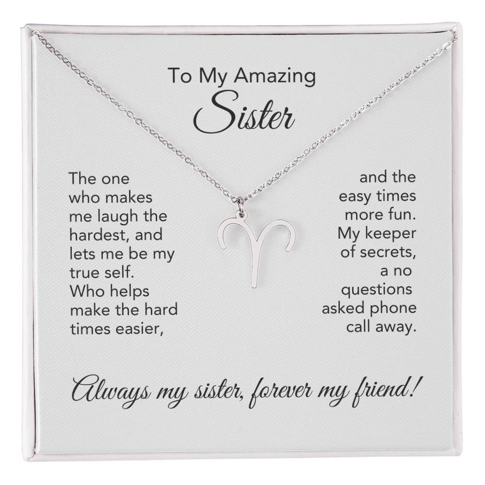 To My Amazing Sister Gift, Delicate Zodiac Necklace Gold or Stainless Steel, Gift for Sister