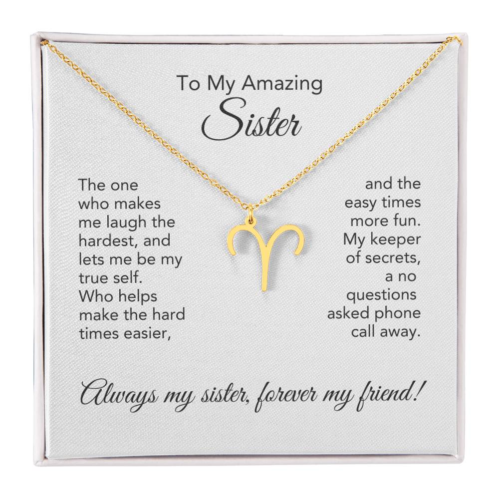 To My Amazing Sister Gift, Delicate Zodiac Necklace Gold or Stainless Steel, Gift for Sister