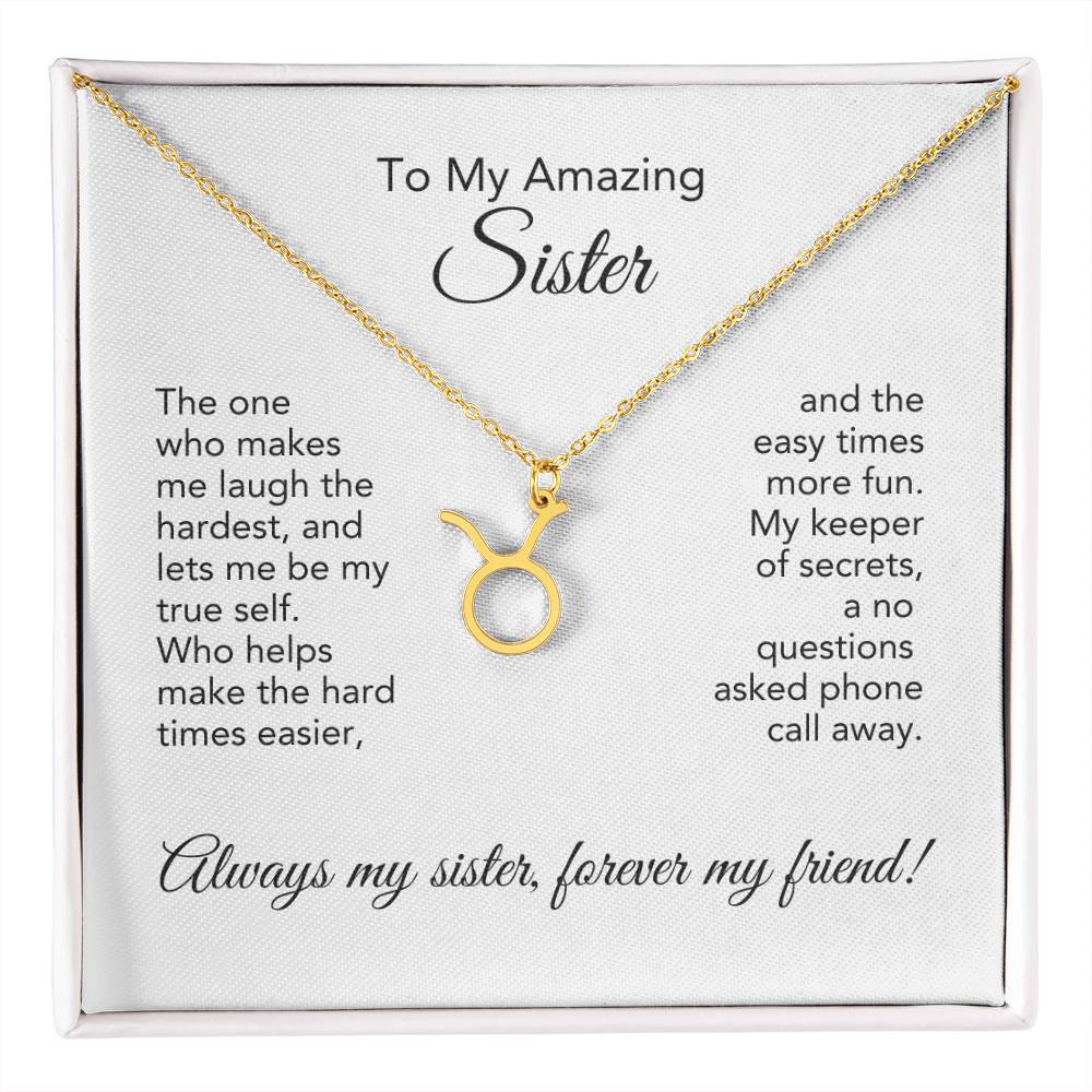 To My Amazing Sister Gift, Delicate Zodiac Necklace Gold or Stainless Steel, Gift for Sister