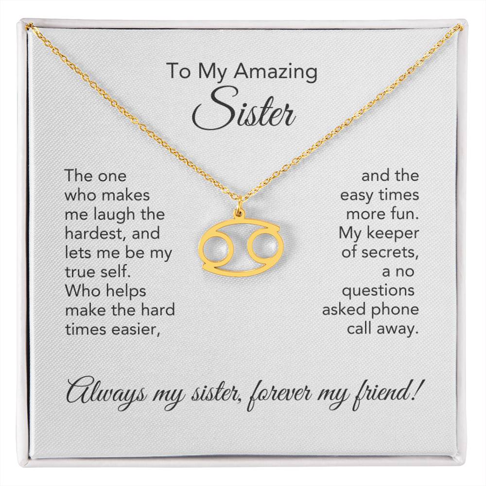 To My Amazing Sister Gift, Delicate Zodiac Necklace Gold or Stainless Steel, Gift for Sister