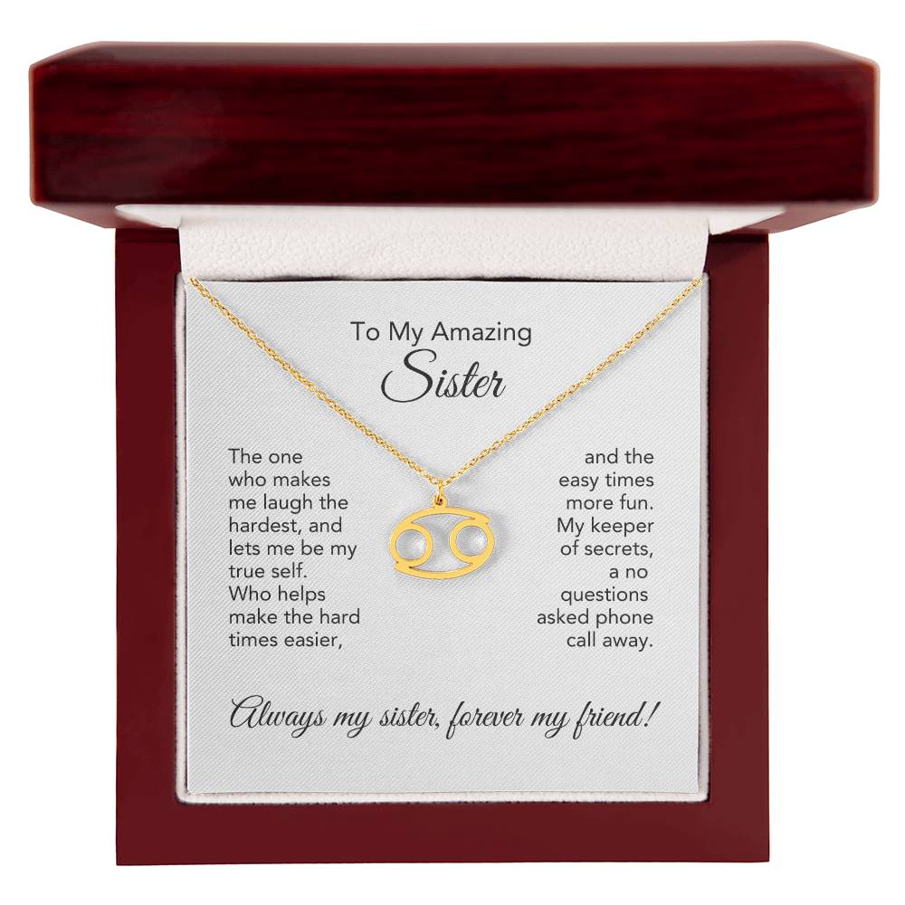 To My Amazing Sister Gift, Delicate Zodiac Necklace Gold or Stainless Steel, Gift for Sister