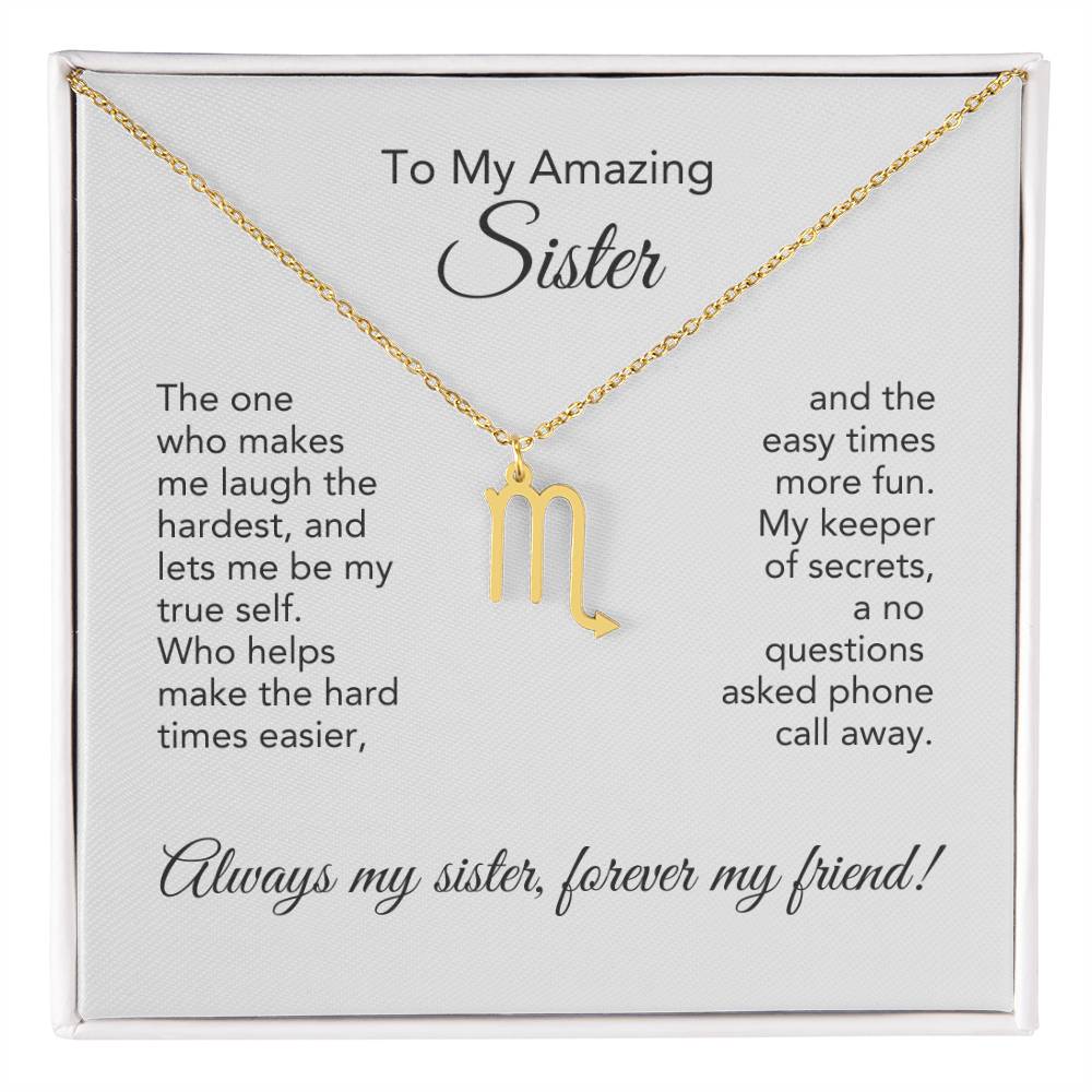 To My Amazing Sister Gift, Delicate Zodiac Necklace Gold or Stainless Steel, Gift for Sister