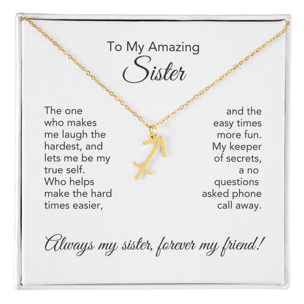 To My Amazing Sister Gift, Delicate Zodiac Necklace Gold or Stainless Steel, Gift for Sister