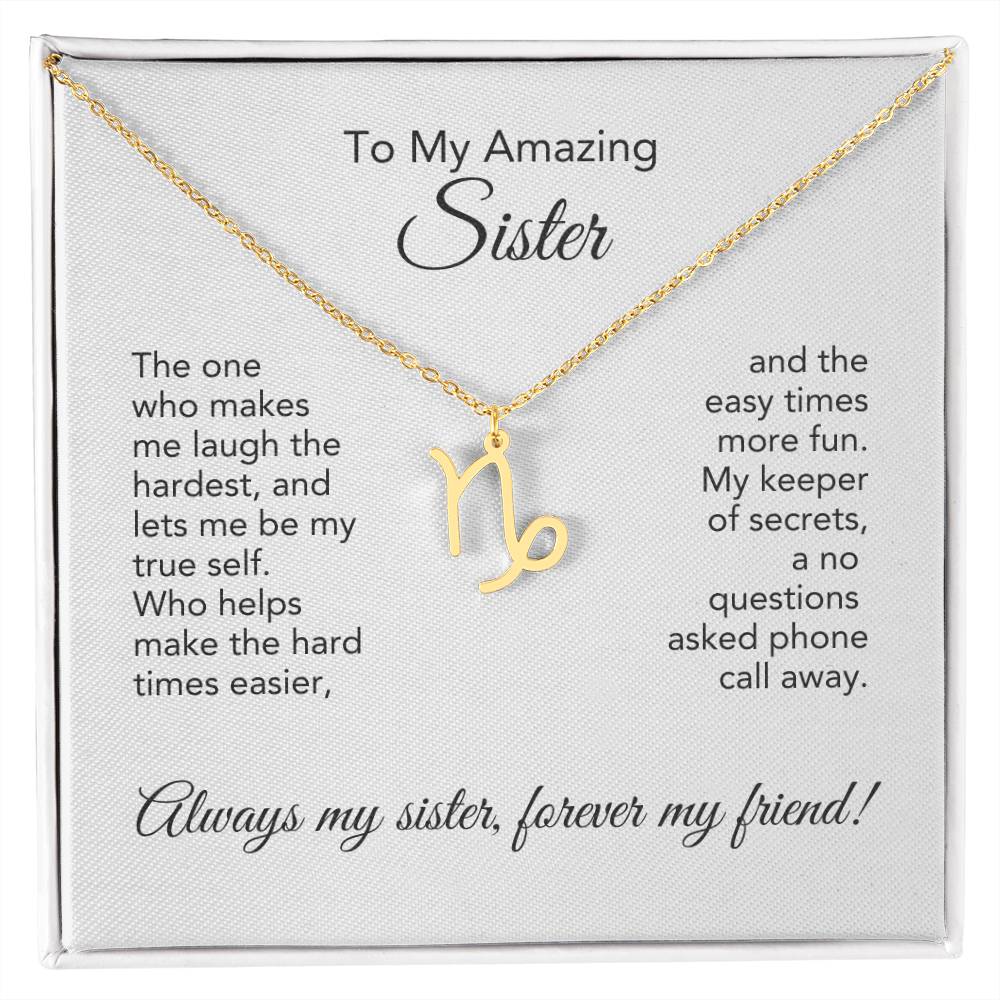 To My Amazing Sister Gift, Delicate Zodiac Necklace Gold or Stainless Steel, Gift for Sister