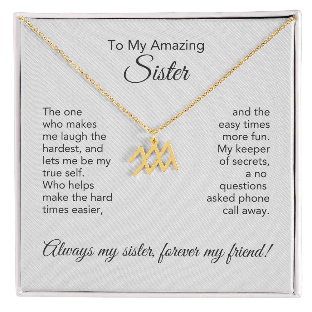 To My Amazing Sister Gift, Delicate Zodiac Necklace Gold or Stainless Steel, Gift for Sister